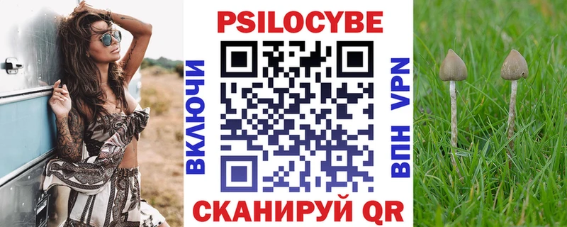 MEGA маркетплейс  закладка  Стародуб  Галлюциногенные грибы мицелий 